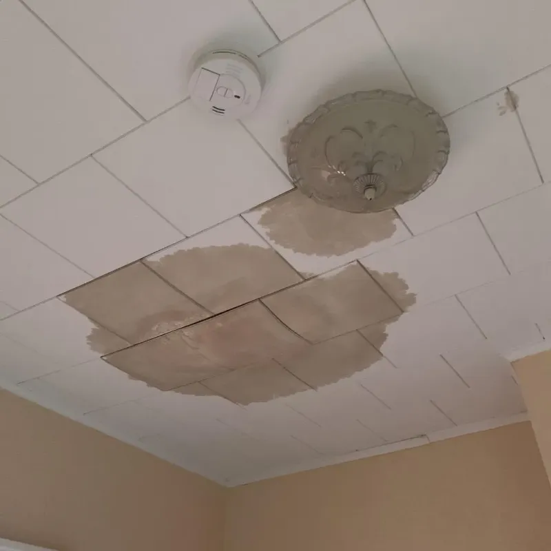 Ceiling Water Damage Repair in Baldwin, FL